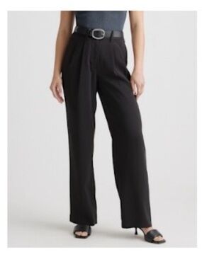 Quince Stretch Crepe Pleated Wide Leg Pants - Black